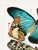 Vintage butterfly art print reproduction by Emile-Allain Séguy, featuring Art Deco–era natural history illustrations...