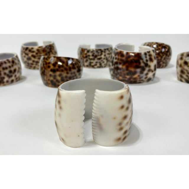 Shell Vintage Tiger Cowrie Shell Napkin Rings, S/10 For Sale - Image 7 of 9