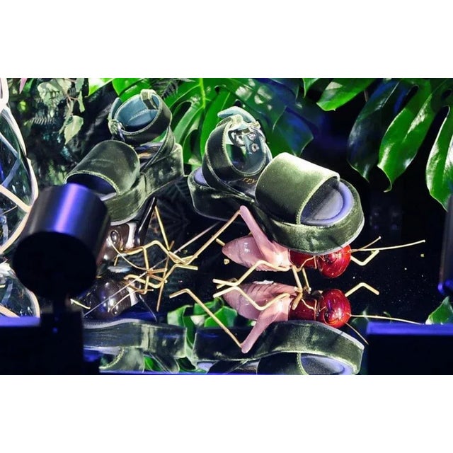 Ladybug Sculpture by Mambo Unlimited Ideas For Sale - Image 13 of 16