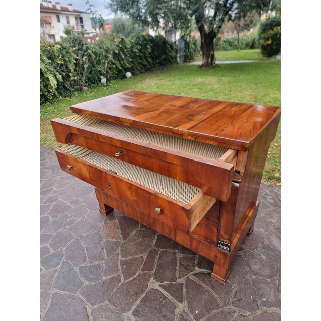 Empire Chest of Drawers 1830 in Walnut Veneer For Sale - Image 9 of 14