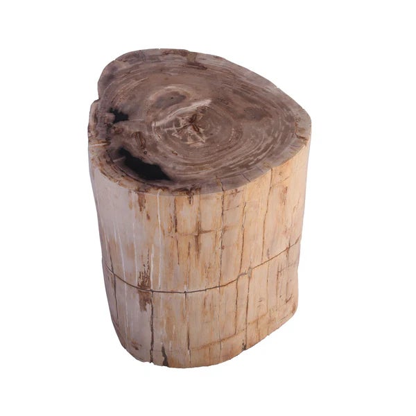Made from one fossilized tree trunk, this organic petrified wood stool or side table is hand polished to show its...
