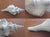 Vintage Large Natural Horse Conch Shell For Sale - Image 10 of 12