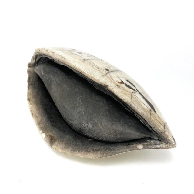 Vintage French Ceramic Clam Sculpture For Sale - Image 12 of 12