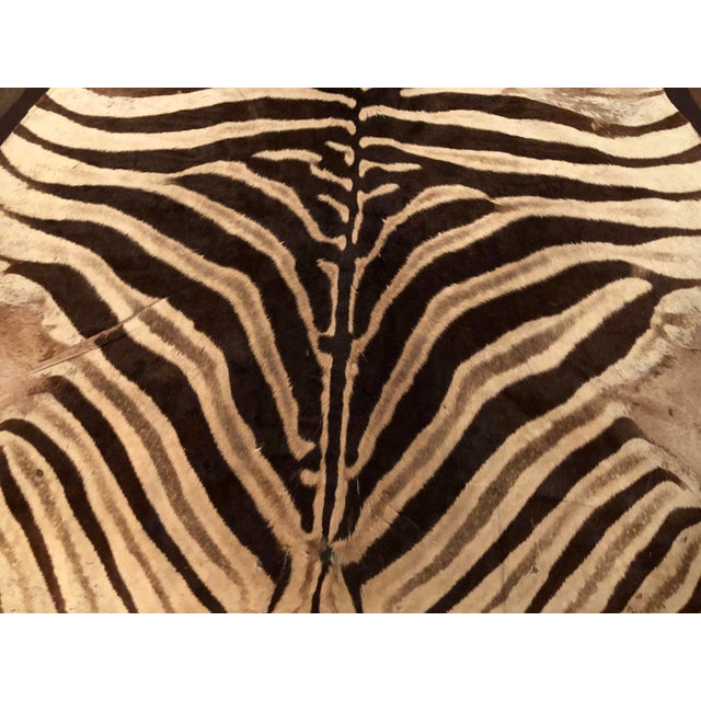 1960s Vintage Burchell Zebra Rug Chairish