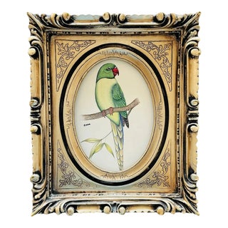 Original Handpainted Parrot Painting in a Vintage Victorian Frame For Sale