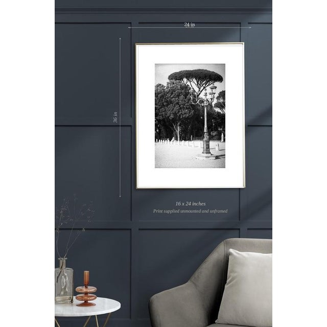 Contemporary Paul Cooklin, Rome Italy 00142, Edition of 50 For Sale - Image 3 of 5
