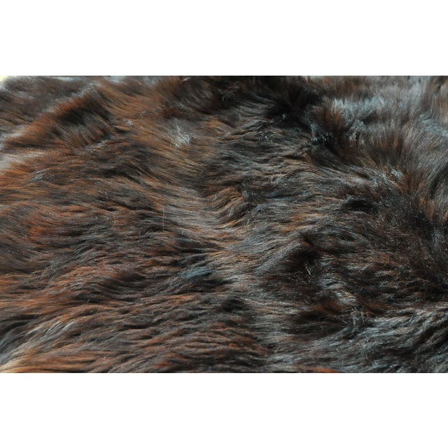 Vintage Bear Skin Rug 4' x 4' 6" Chairish