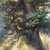 Blue Charles Philogène Tschaggeny, Flemish Pastoral Landscape, 1849, Oil on Board For Sale - Image 8 of 10
