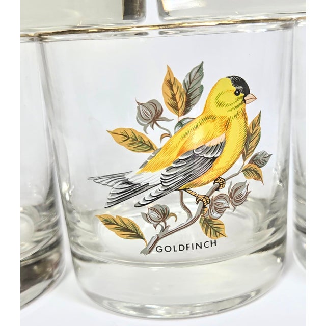 Glass Birdwatchers Songbird Lowball Glasses- Set of Six For Sale - Image 7 of 12