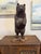 Folk Art 1920s Folk Art Bear Carving For Sale - Image 3 of 12
