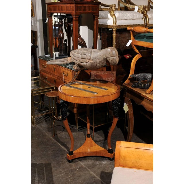Pair of Italian Carved Wooden Parrots circa 1880, Mounted on Modern Steel Bases For Sale - Image 10 of 11