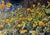 2010s Oil Painting Marigold Varvarov Anatoly Viktorovich For Sale - Image 5 of 7