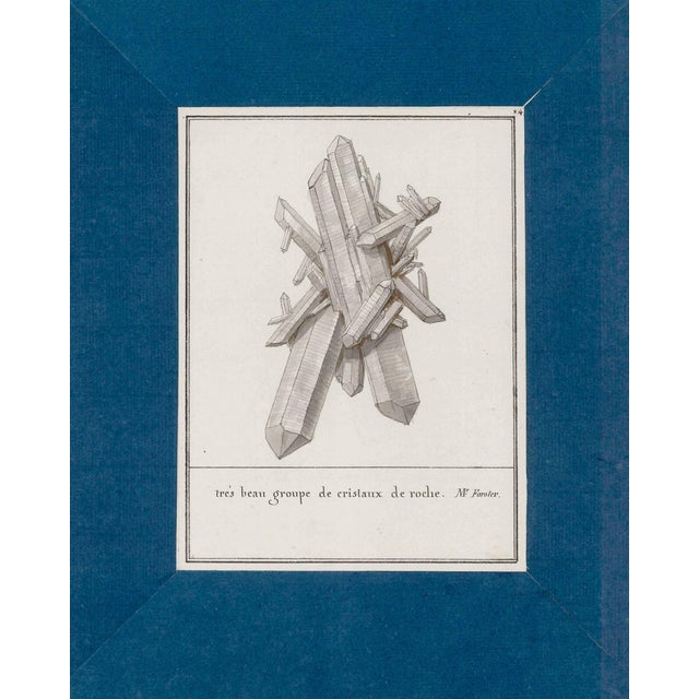 Reproduction Antique Mineral Specimen Folio Prints | Set of 12 | 16" X 20" For Sale - Image 9 of 11