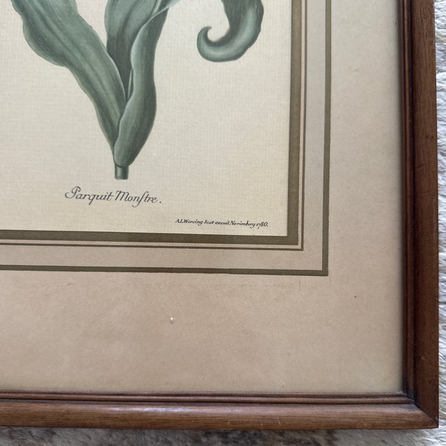 Wood Vintage Yellow Tulip Botanical Print in Dark Wood Frame For Sale - Image 7 of 7