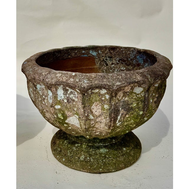 Gray Pair Terracotta Garden Urns, Lobed Campana Form, Weathered Finish For Sale - Image 8 of 17