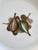 Green Bidasoa Spain Fruit Motif Salald or Dessert Plates - Set of 5 For Sale - Image 8 of 11