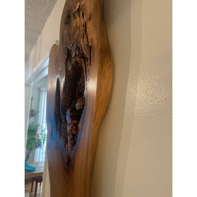 2020s One-of-a-Kind Sculptural Live Edge Wood Wall Art For Sale - Image 5 of 8