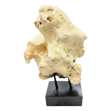 Indonesian Coral Stone On Teak Stand For Sale