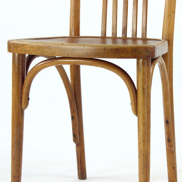 1920s Oak Bentwood Chair by Michael Thonet, 1920s For Sale - Image 5 of 16