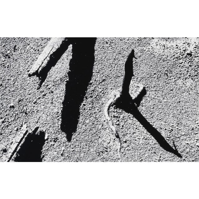 Contemporary "Yellowstone Fire #7" - 1989. Gelatin Silver Print by Jacques Gael Cressaty For Sale - Image 3 of 3