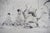 The Perfect Hunt Team 1931 Pen & Ink Drawing by Paul Brown For Sale - Image 4 of 7