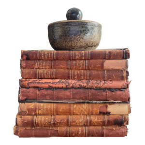 Set of Eight (8) 1896 Character Sketches of Romance Fiction and the Drama Leather Antique Books Decorative Book Bookshelf Decor