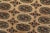 Textile Bokhara Rug 4’2” X 5’6” Beige Wool Tribal Hand-Knotted Oriental Carpet For Sale - Image 7 of 11