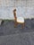 Wood 1920 Italian Fruit Wood Ladies Vanity Chair For Sale - Image 7 of 16