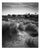 Paul Cooklin, Beach Huts, Edition of 50 For Sale