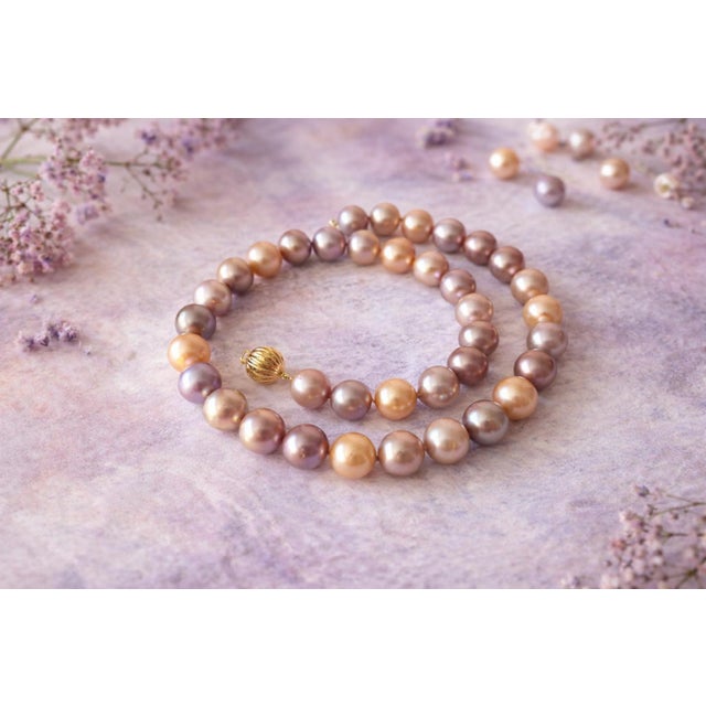 Genuine Freshwater Edison Pearl Necklace With 14k Gold Clasp For Sale - Image 10 of 11