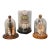 1960s 3 Domed Sra Shell Assemblages Marine Soecimens For Sale