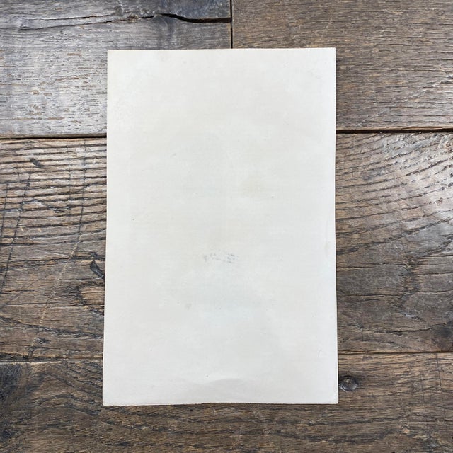 Tan French Antique 18th Century "Marmotte De Richardson" Animal Engraving Hand Colored Artwork For Sale - Image 8 of 8