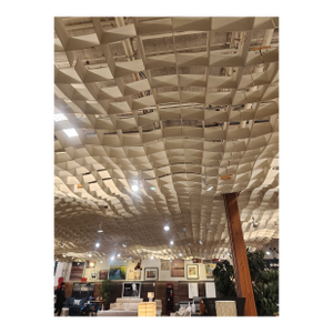 Architectural Wave Ceiling
