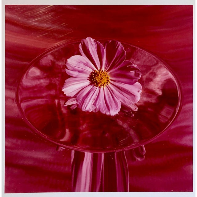 Peter C. Jones 1, Pink Cosmo, Large Format Photo 24X20 Color Photograph Beach House, 2004 For Sale