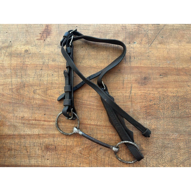 Animal Skin Antique Horse Bridle and Bit, 1900s For Sale - Image 7 of 9
