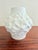 Ceramic Vintage German Shell Vase in Bisque Porcelain from AK Kaiser, 1970s For Sale - Image 7 of 8