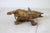 Metal Vintage Brass Elephant For Sale - Image 7 of 8