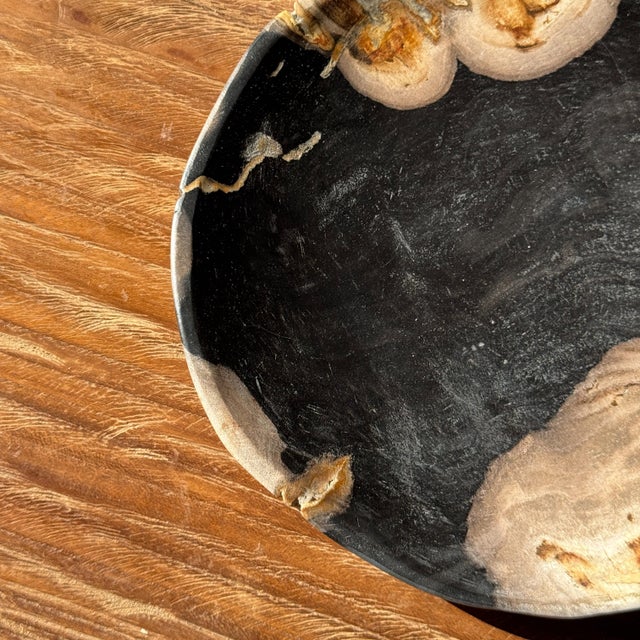 Small Trinket Tray or Dish in Black and Beige Petrified Wood, 1980s For Sale - Image 9 of 11