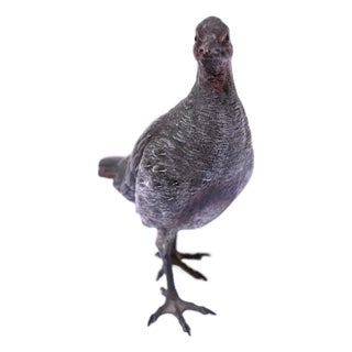 Vintage French Bronze Pigeon Sculpture, 1950s For Sale