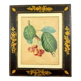 English Regency Period Watercolored Cherry Print in Hand Painted Lacquered Frame For Sale