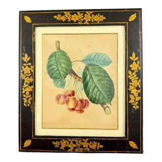 English Regency Period Watercolored Cherry Print in Hand Painted Lacquered Frame For Sale