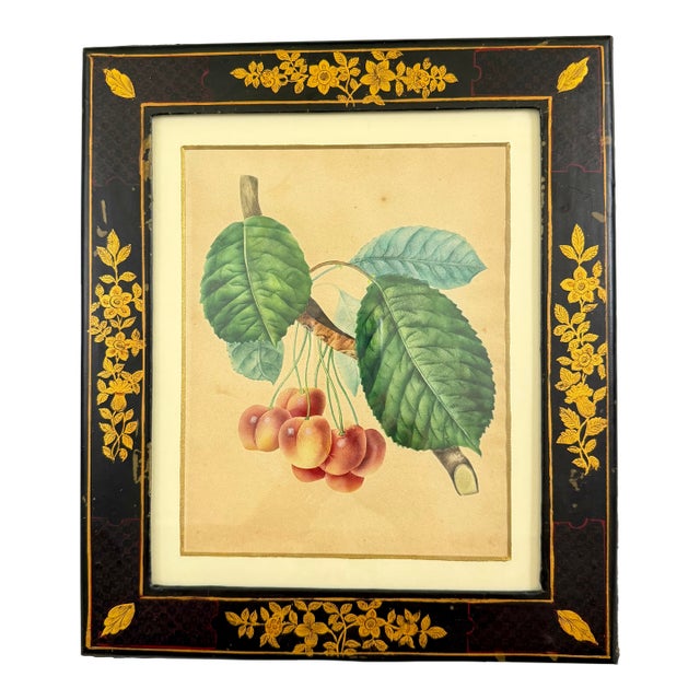 English Regency Period Watercolored Cherry Print in Hand Painted Lacquered Frame For Sale