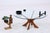 Mid-Century T118 Coffee Table in Teak by Illum Wikkelso for Niels Eilersen, Denmark, 1960s For Sale - Image 13 of 13