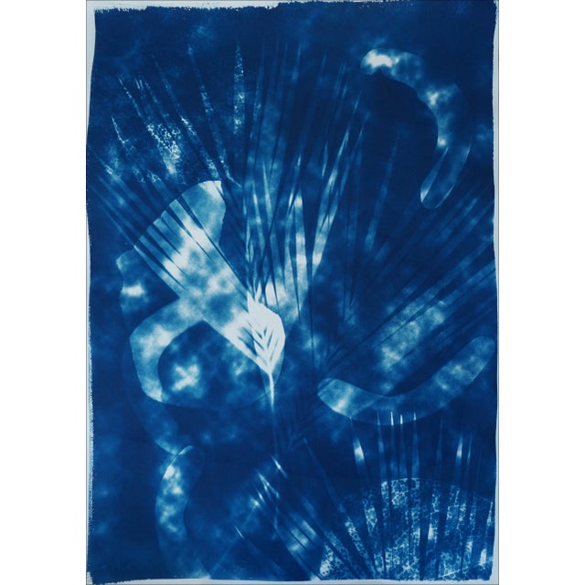 Botanical Cyanotype With Abstract Cloudy Shades,Photogram Made on Watercolor Paper, Deep Range of Blues, 50xx70cm For Sale - Image 10 of 10