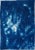 Botanical Cyanotype With Abstract Cloudy Shades,Photogram Made on Watercolor Paper, Deep Range of Blues, 50xx70cm For Sale - Image 10 of 10