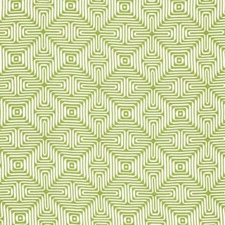 Schumacher X Trina Turk Amazing Maze Indoor & Outdoor Fabric in Palm For Sale