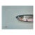 Sardine Head Oil Painting by Vivek Mandalia For Sale