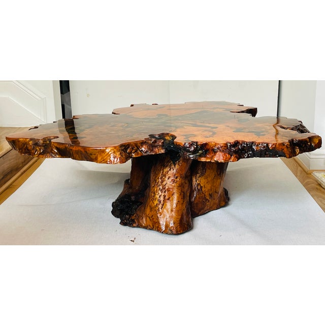 Gorgeous 1960 Tedeood Slab Stump Root Live Edge Coffee Table For Sale - Image 16 of 17