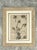 Framed Botanical Drawing With Gold Detailing For Sale - Image 14 of 14