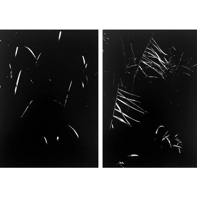 Lucien Clergue, Secret Camargue, 1976, Photogravures, Set of 2 For Sale